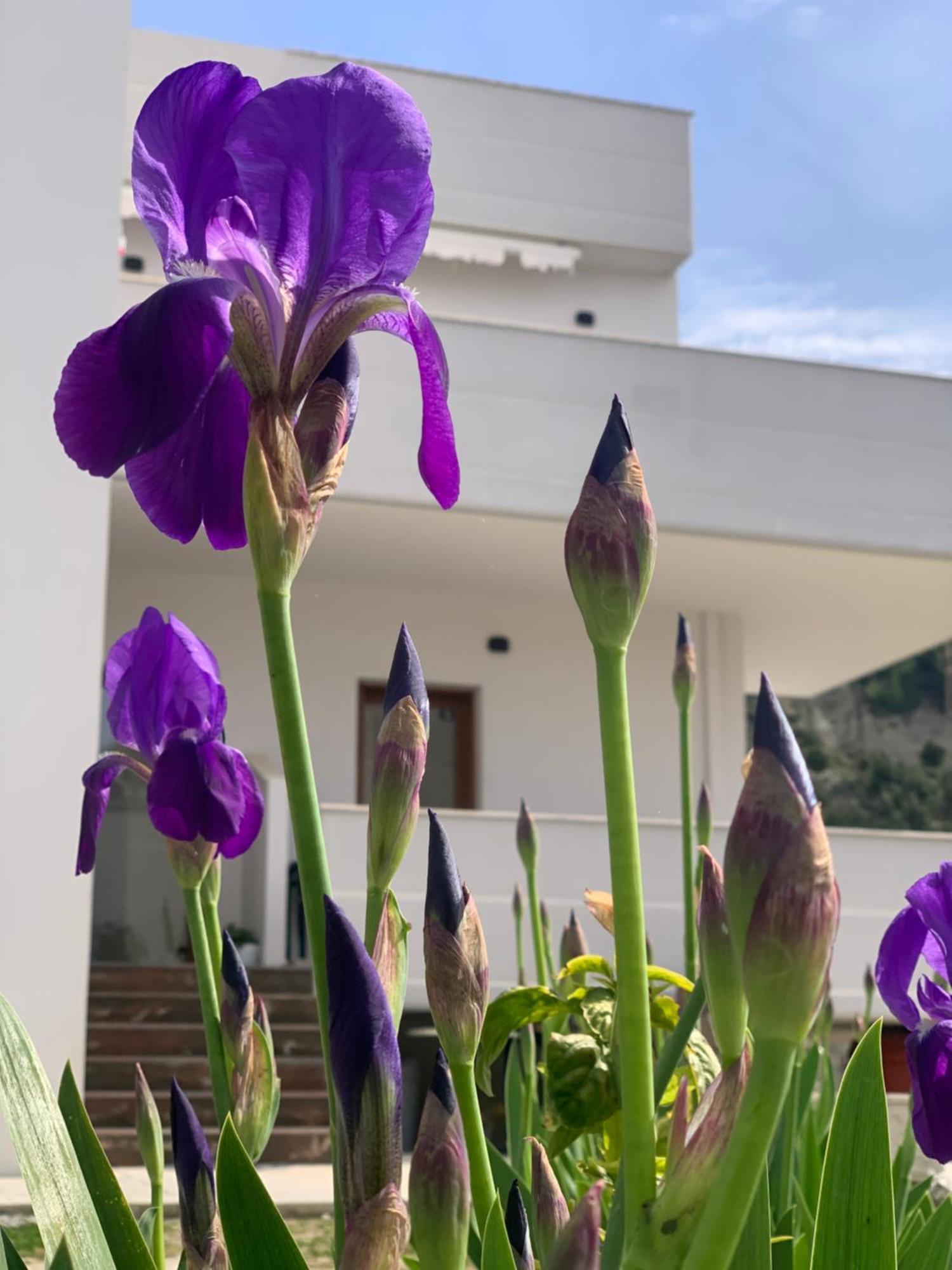 Villa Rreze Dielli Vlorë Exteriér fotografie
